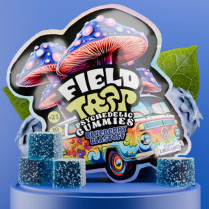 Field Trip Blueberry Blastoff Gummies