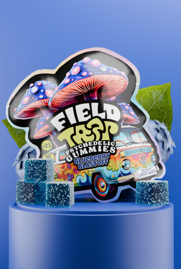 Field Trip Blueberry Blastoff Gummies