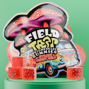 field trip strawberry wild gummies