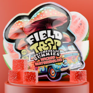 field trip wicked watermelon gummies